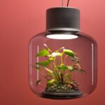 Mygdal Plantlight – Stylishes Pflanzenlicht für drinnen